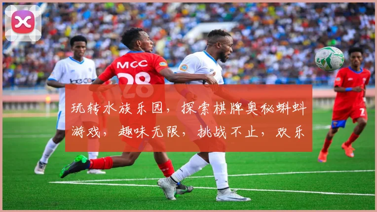 玩转水族乐园，探索棋牌奥秘蝌蚪游戏，趣味无限，挑战不止，欢乐逗不停