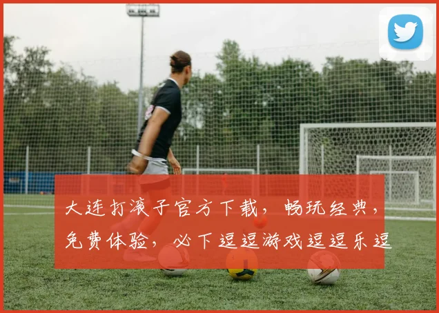大连打滚子官方下载，畅玩经典，免费体验，必下逗逗游戏逗逗乐逗逗赢