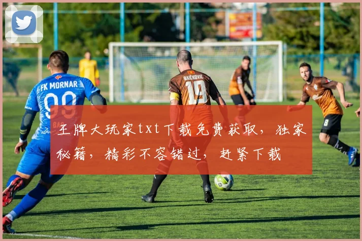 王牌大玩家txt下载免费获取，独家秘籍，精彩不容错过，赶紧下载